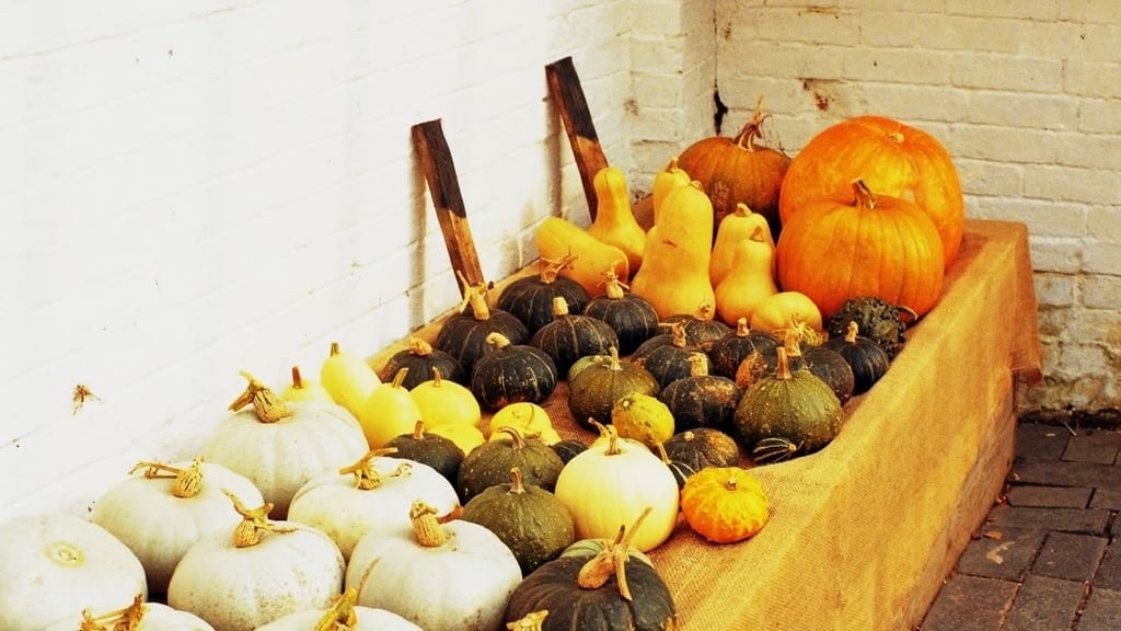 When should I use Epsom salts