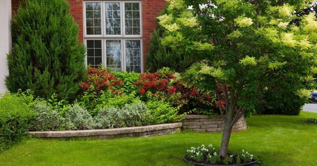 Easy tips for a low maintenance landscape 