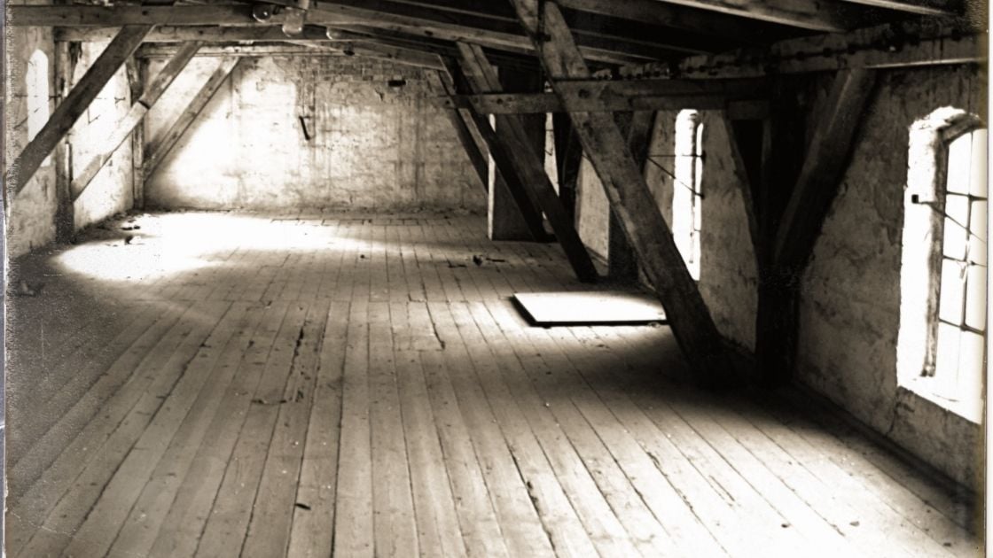 Is Attic Mold Dangerous? (The Answer is …)
