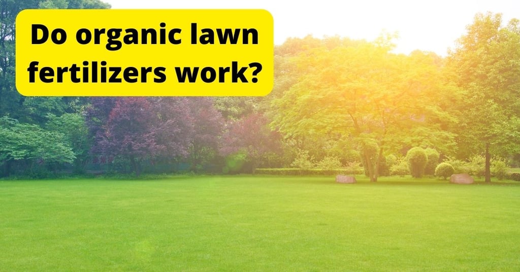 The Importance of Proper Kitchen and Dining Room Lighting