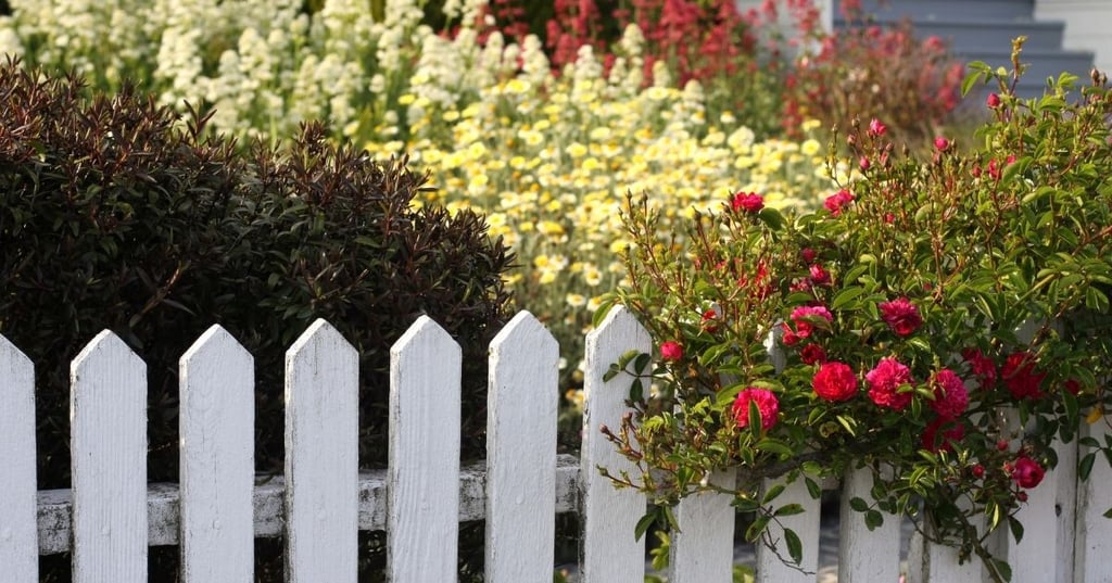 How to Design a Landscape that is Easy to Care For