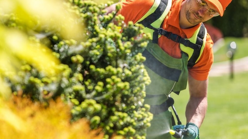 Can you feed all plants with Epsom salts