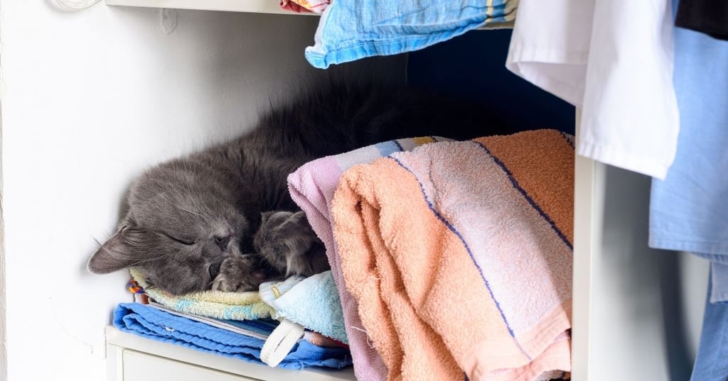 Keep Your Home Neat and Tidy with Corner Shelving