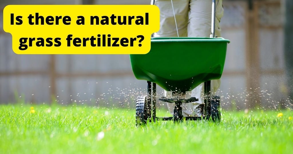 Enjoy the beauty and benefits of brass fireplace tools