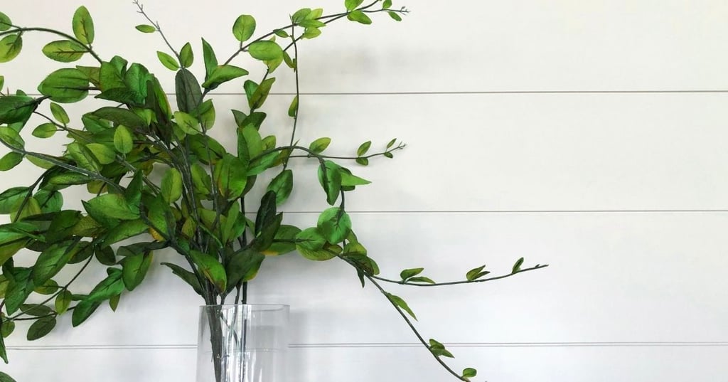 All you need to know about shiplap