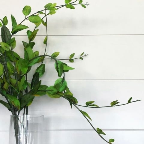 All you need to know about shiplap