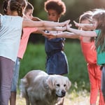 Are Golden Retrievers Protective