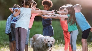 Are Golden Retrievers Protective