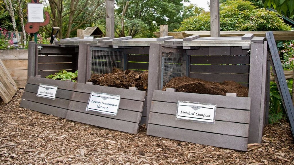 Maintaining a Consistent Fertilization Schedule