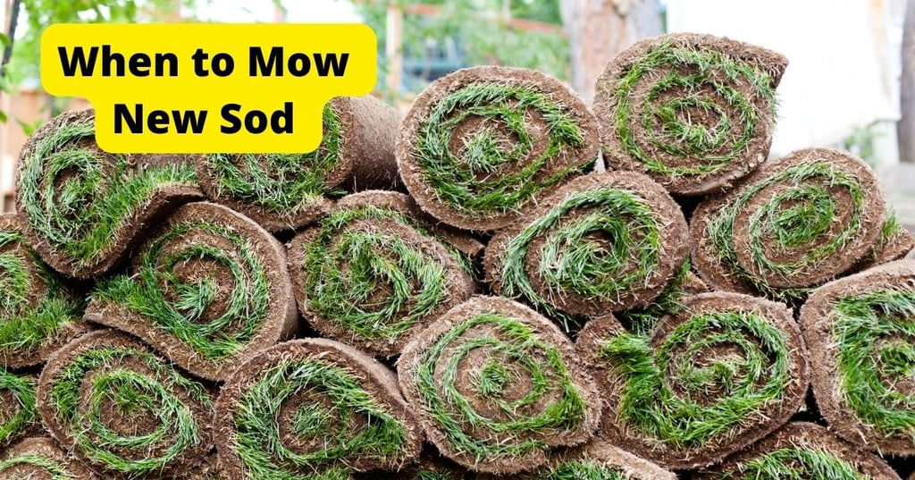 How to Pick the Perfect Kitchen Color Schemes with Black Appliances