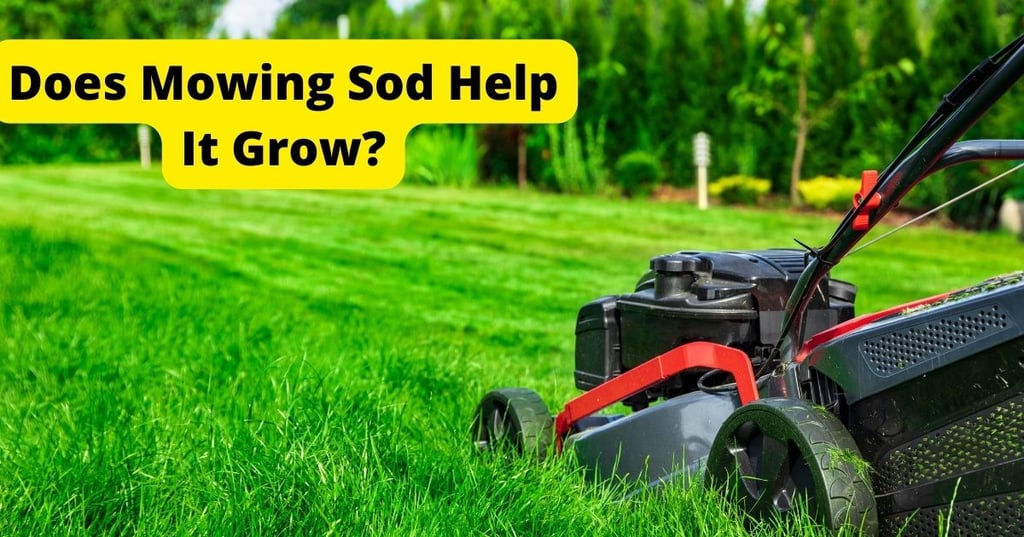 Choose a Faucet that Fits the Overall Style of Your Bathroom