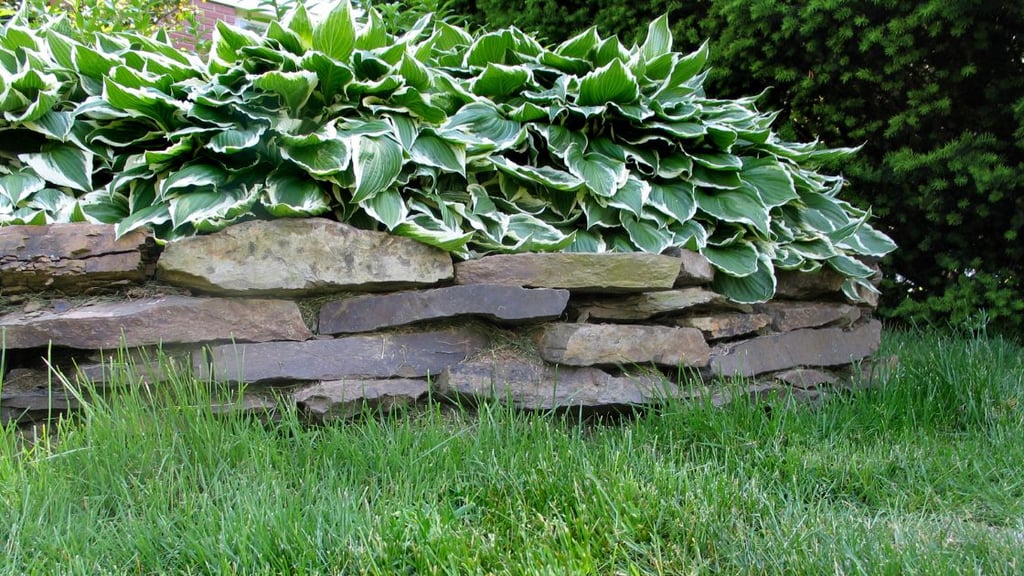 Ensuring Proper Drainage to Protect the Retaining Wall