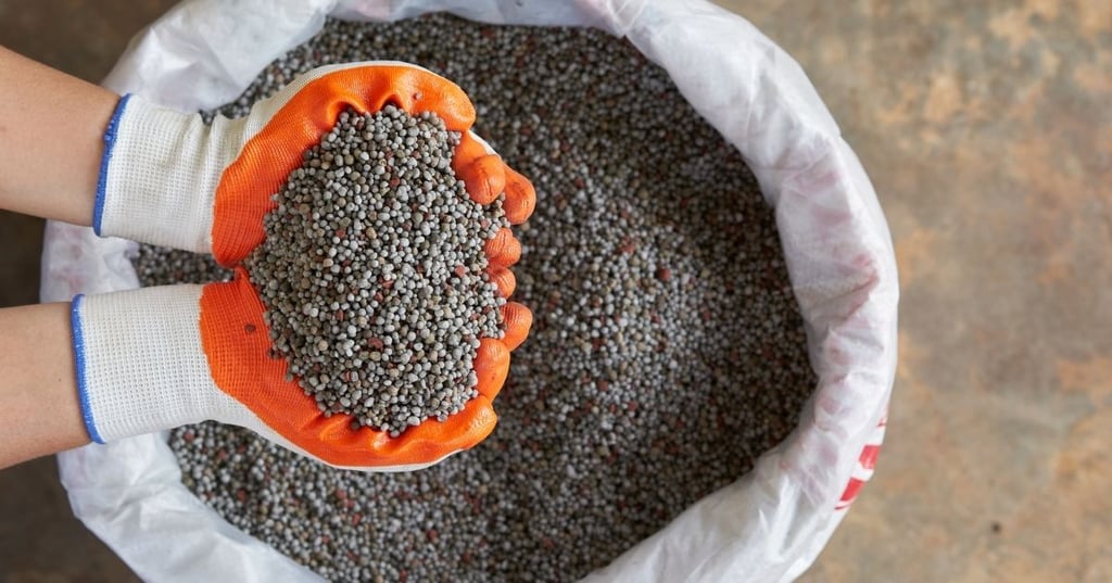 How Much Fertilizer Should You Apply