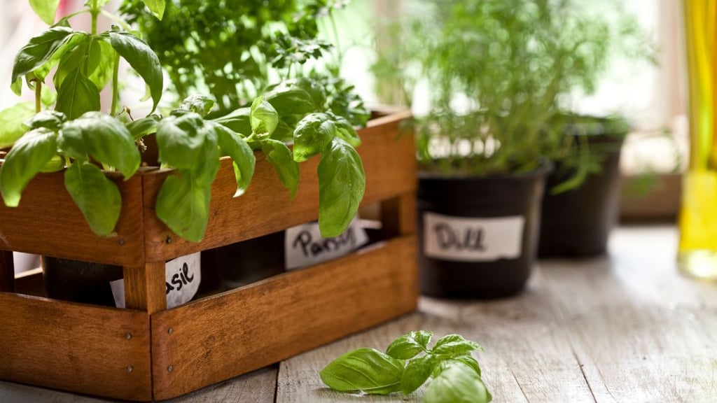 Container Gardens Abundance in Small Spaces