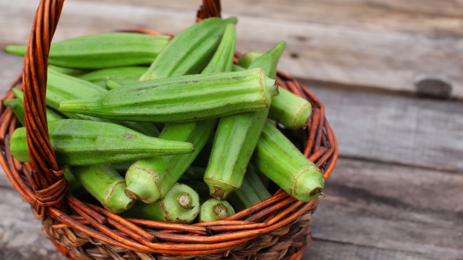 okra companion plants