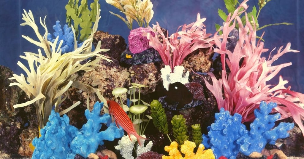 Tips and Tricks for Making Your Own Aquarium Decorations