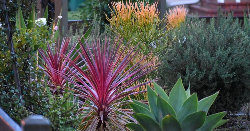 Add the finishing touches to your landscape today