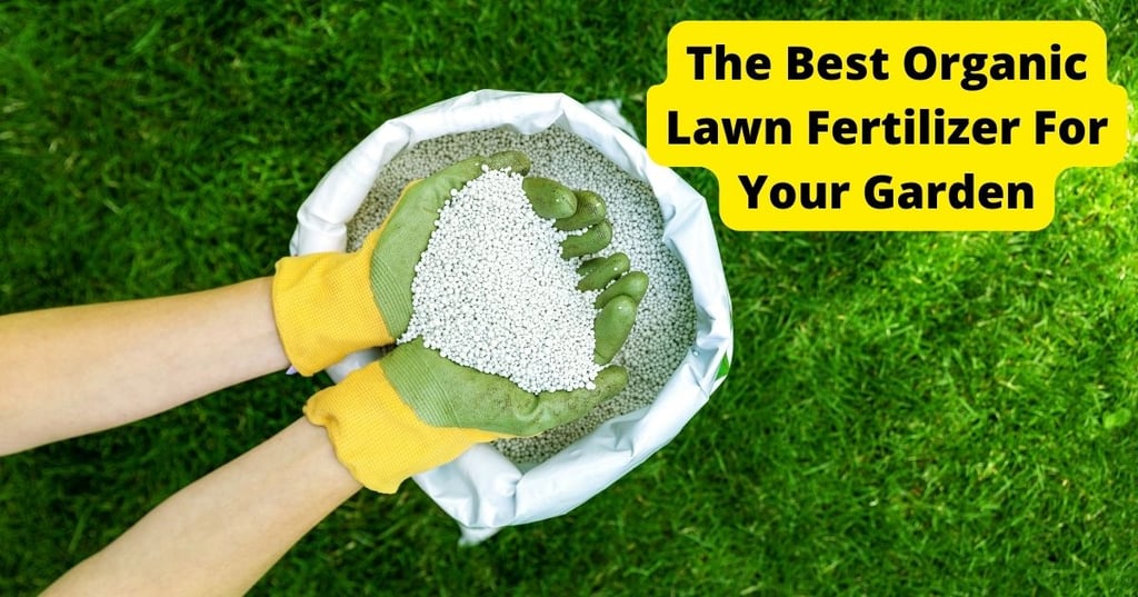 small backyard lap pool