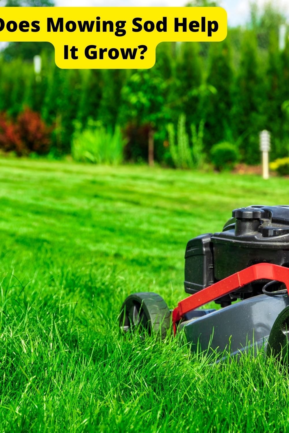 Functionality is key when choosing a bathtub faucet