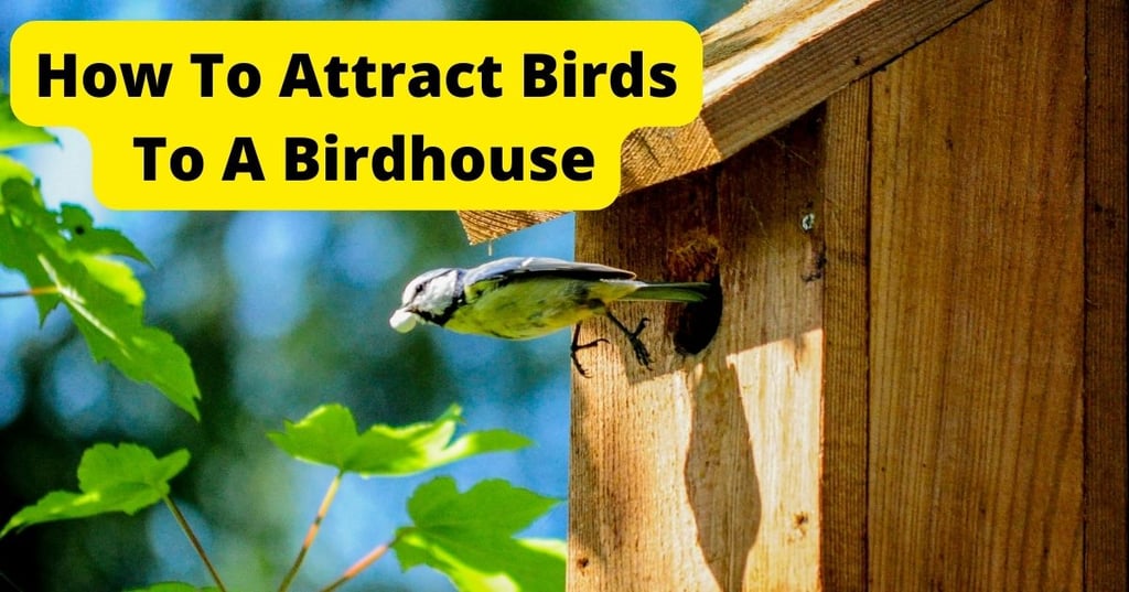 Add function and style to your outdoor kitchen