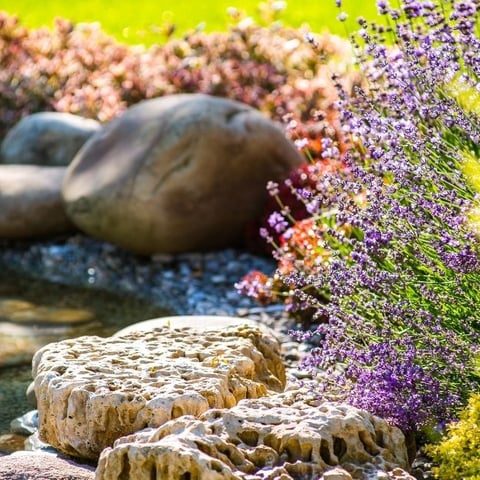 Front Yard Landscaping Ideas to Make Your Home Stand Out