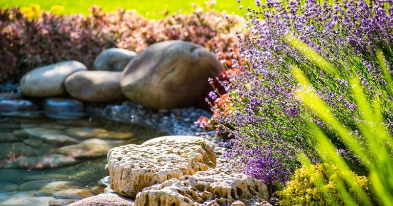 Front Yard Landscaping Ideas to Make Your Home Stand Out