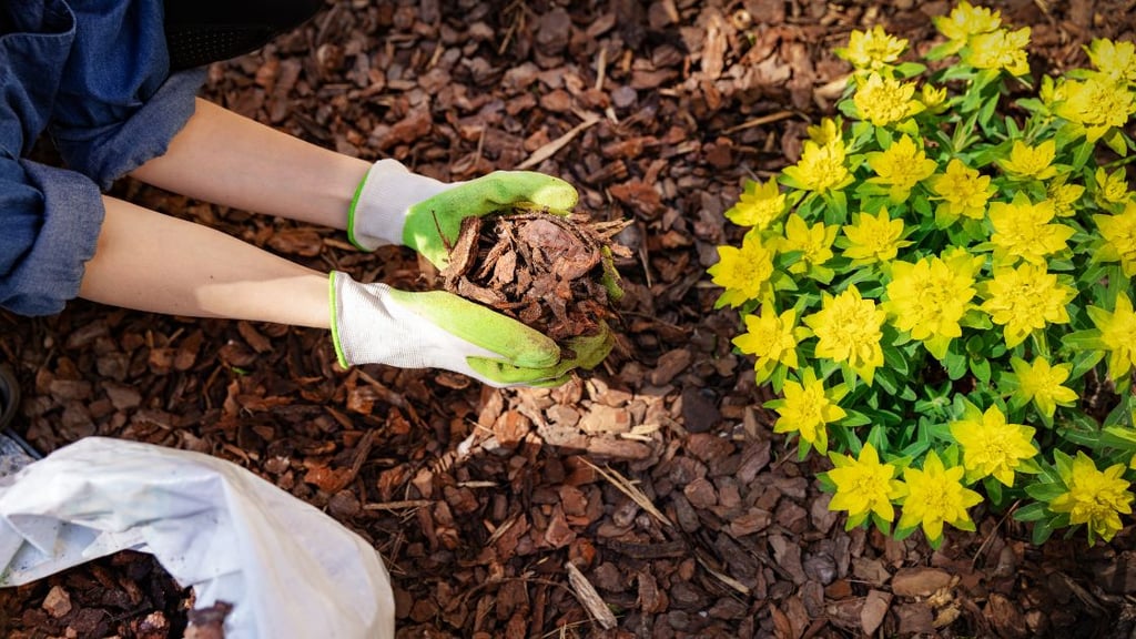Maintaining Your Rock and Mulch Landscape