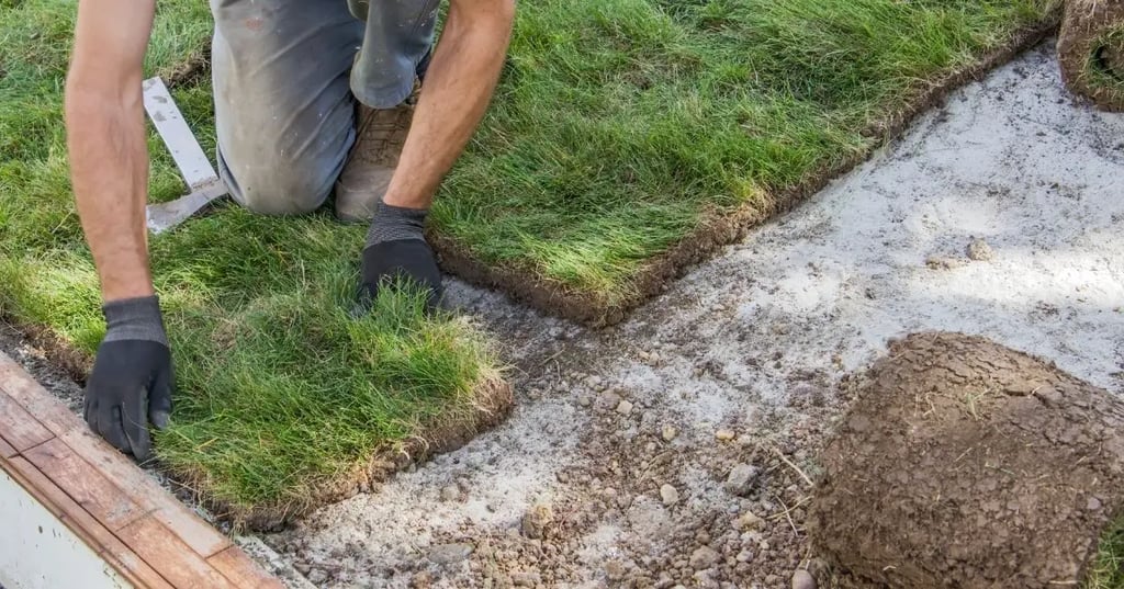 How Long Does It Take For Sod To Take Root