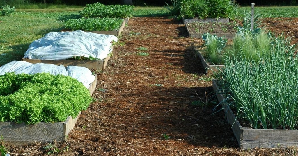 the perfect spot for gardening success