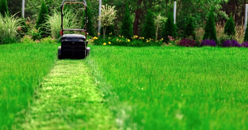 How Often Should I Mow My Lawn