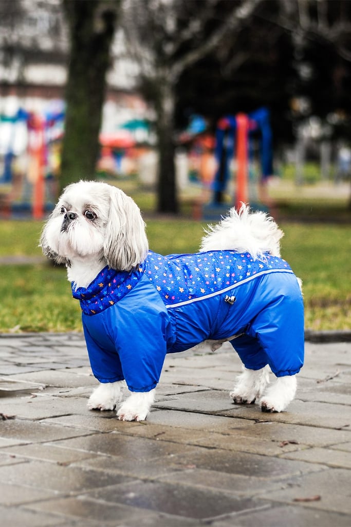 Shih Tzu Clothes