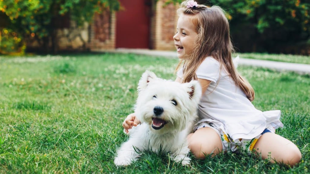 Lawn Care Safety for Kids and Pets
