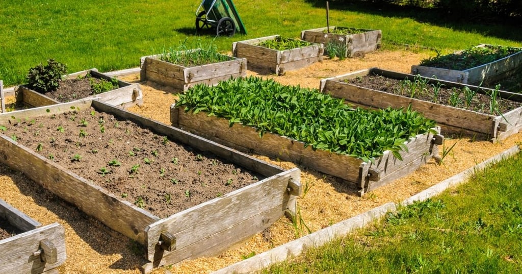 Raised garden beds To bottom or not to bottom