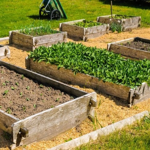 Raised garden beds To bottom or not to bottom