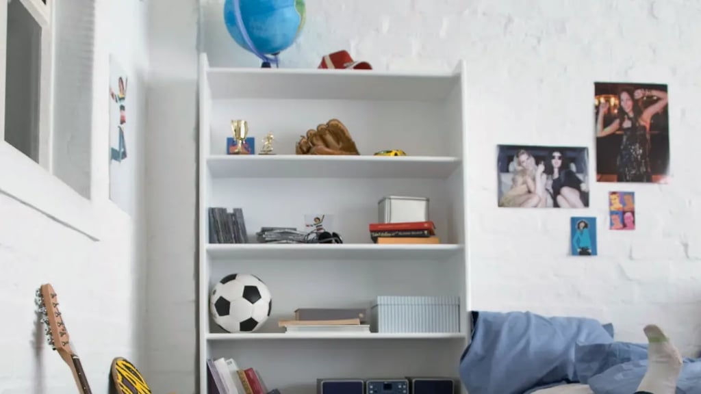Teenage Boy Bedroom Shelves