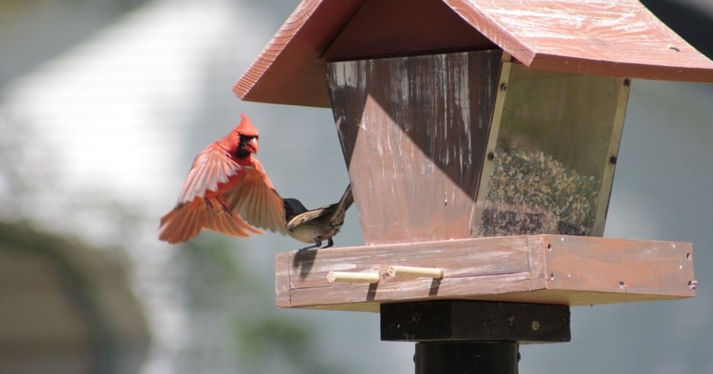 Above kitchen sink lighting ideas for every home