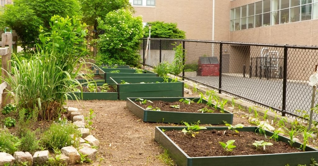 Raised Garden Beds with or without a Bottom