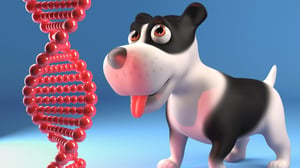 How Much are Dog DNA Tests