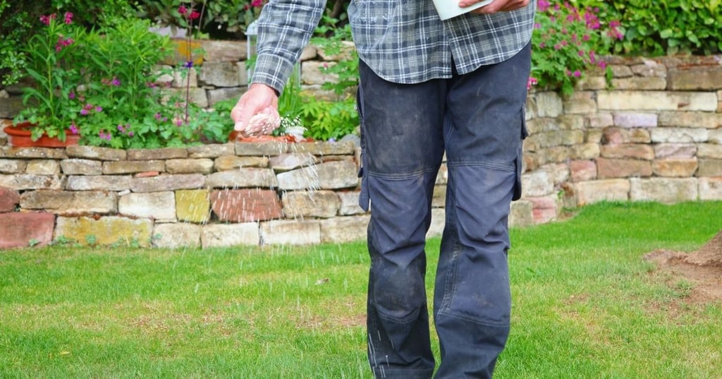 The Benefits Of A Good Organic Fertilizer