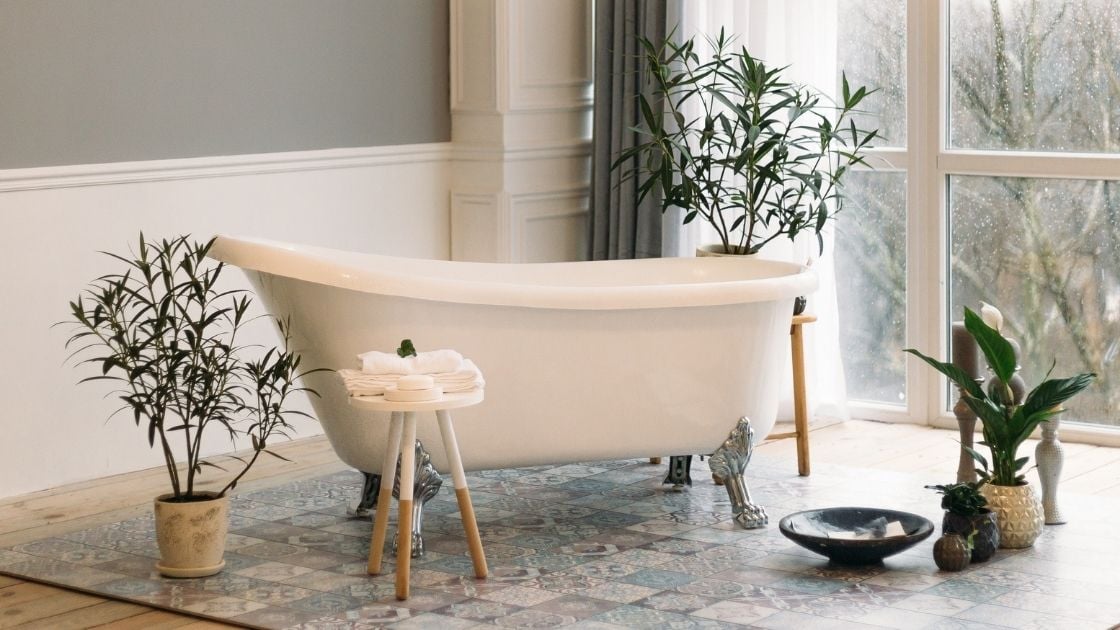 Clawfoot Bathtub With Forest Views