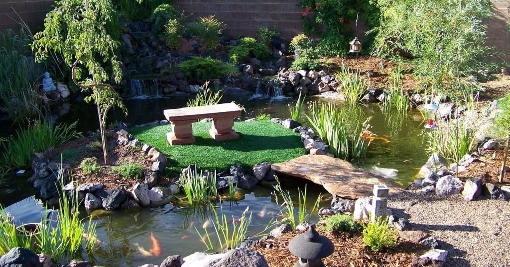 Get to Know Koi Fish &ndash; Their History and Origins