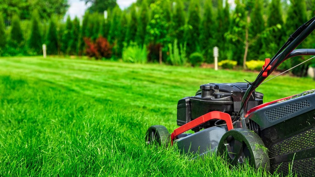 Safer alternatives to lawn care chemicals