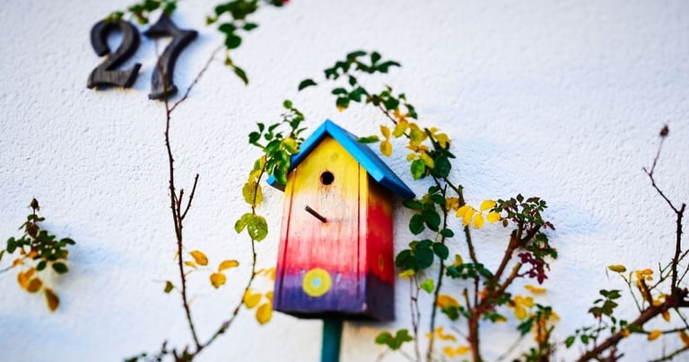 Why won’t birds use my birdhouse