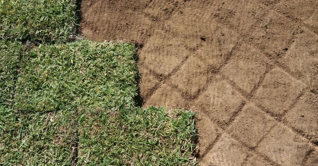 patchy and uneaven sod