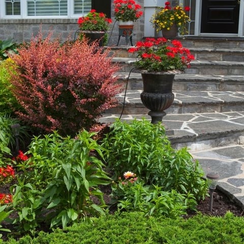 DhSD9KYnlq0a8pL5ZhZU2eui