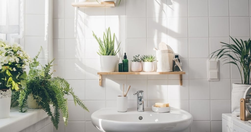 Decorate with plants