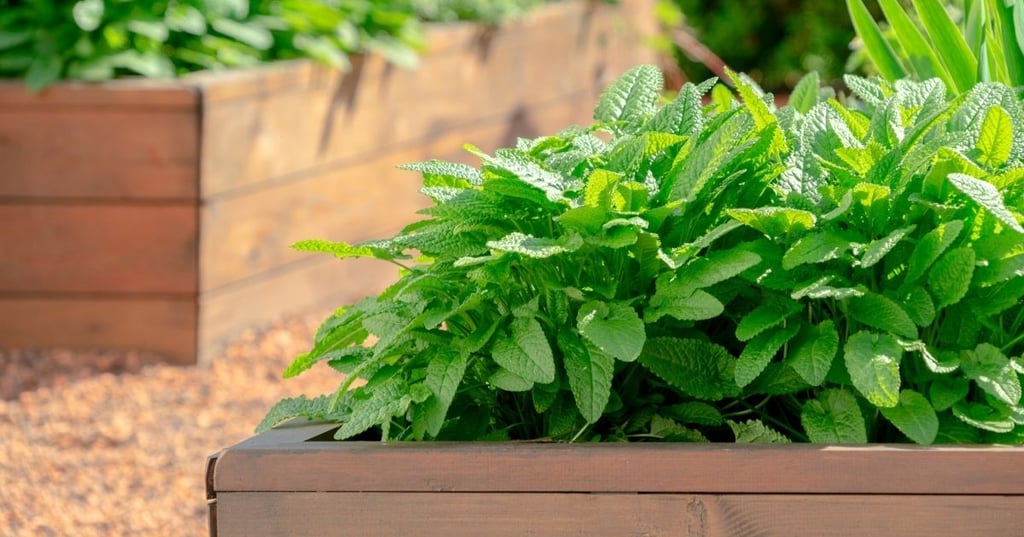 The Benefits of Bottoming Out Your Raised Garden Bed