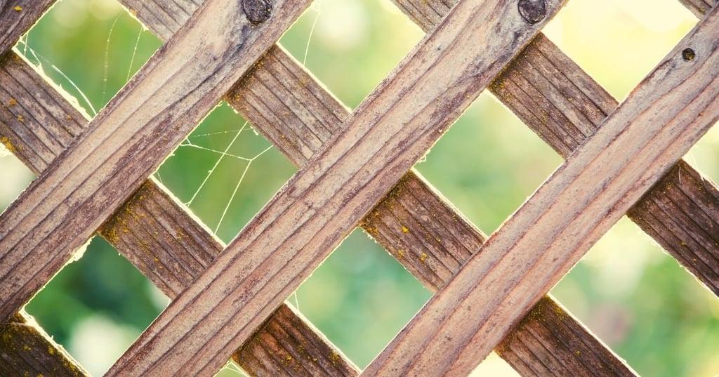 Maintaining your fence
