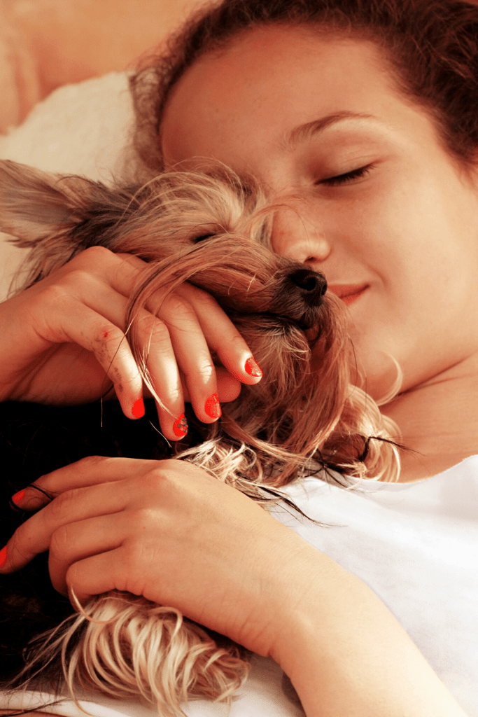 Who Is The Yorkshire Terrier For