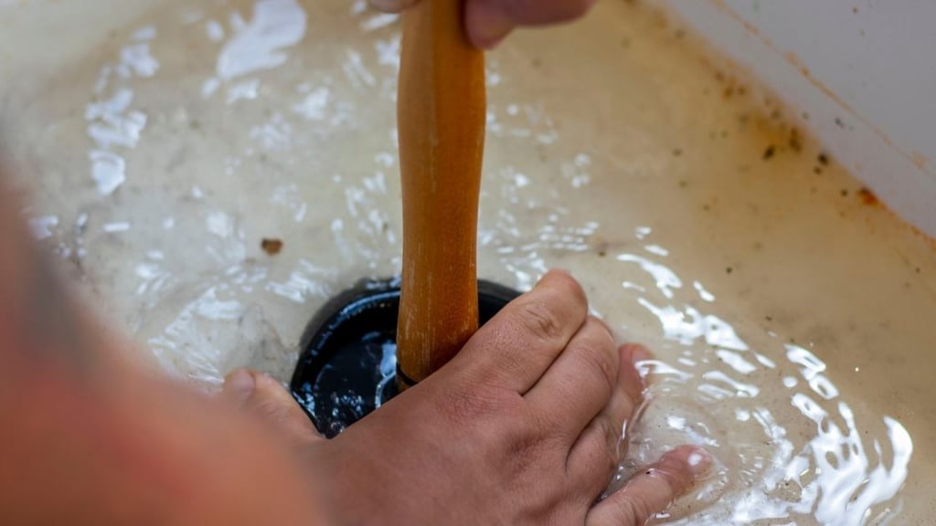 Other Causes of a Smelly Drain